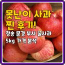 청송농장 | 못난이 사과 찐 후기! 청송 문경 부사 꿀사과 5kg 가격 분석