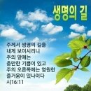 하늘29 이미지