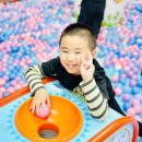 화랑 태권도장 이미지