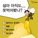 디자인필 이미지