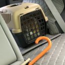 조항일동물병원 이미지