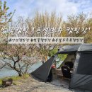 용설 | 안성 벚꽃&amp; 호수뷰 캠핑장 &#39;용설호수 캠핑장&#39; 상세후기