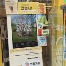 카페게이트(수원권선자이점) 네이버블로그