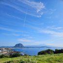 [두돌 아기와 제주여행] 6박7일 여행, 4-5일차 서귀포, 제주 동쪽 기록