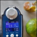 다미 농장 이미지