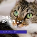 펫스토리 동물병원 이미지