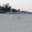 멍스테이션 이미지