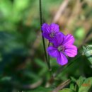 대공원역 이미지