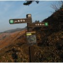 갈티농장 이미지