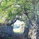 감성별당 이미지