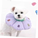 카라말티즈 이미지