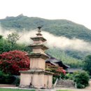 표충사 - 1903 | 표충사