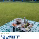 금남농장 | 금남리 맛집 잔디밭에서 멧돼지 고기를 먹는 특별한 금남멧돼지
