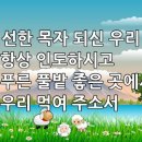 찬송가 569장(통442) 선한 목자 되신 우리 주 이미지