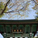 서상동143 이미지