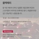 오토블라썸 | 내 차에 향기로운 힐링 선물| 벤오토 차량용 탈취제 1+1 사용 후기