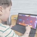 홈스쿨 유아영어 앱 추천 하이도도 솔직 후기