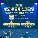 제17회 청도유등제 이미지