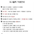 도그홀릭 네이버블로그