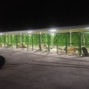 휴먼앤독 이미지