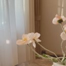 오늘산후조리원 이미지