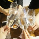 페트코코 이미지