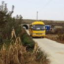 평화유치원 이미지