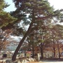 큰가내마을 이미지