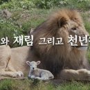 재림열쇠 이미지