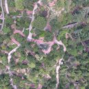 유명산자연휴양림 이미지