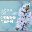 햇살한방병원 이미지