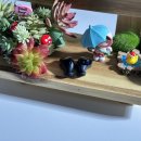 주식회사214디자인 | 엠지텍 블루투스 이어폰 아쿠아 i7 AS 접수 방법