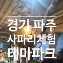 사파리체험테마파크 | [파주 아이와 가볼만한곳] 7세 아들의 용기 충전 완료! 헤이리 사파리 체험 테마파크 리얼 체험기