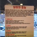 보이차차연