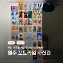 라임고양이 | 📸 원주 프로필 사진관 / 포토라임 사진관