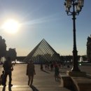 궁전약국 이미지