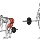 비타민휘트니스 13호점 이미지