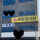 강릉코다리 | 강릉 현지인 맛집 인정, 가성비 좋은 강릉 착한코다리 코다리찜 내돈내산 후기