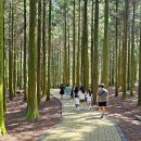 절물자연휴양림 이미지