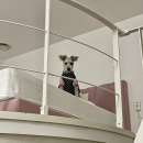 모블리펜션 이미지