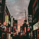 가계부 추천, 무료 앱부터 PC 프로그램·다이어리까지 2026년 완벽 비교