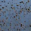 한옥스테이 북성리 이미지