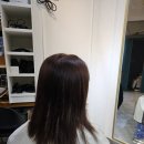 슈노아이 | 💇‍♀️ 짧은 머리 탈출! 슈노아이붙임머리 변신 후기 💕