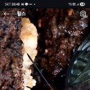 국립공원관리공단 릴스 이미지