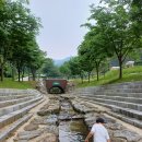 서운산 자연휴양림 가족 캠핑 후기 🌲
