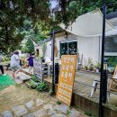 보리수카페 이미지