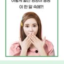 바브네이쳐 네이버블로그