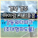 (유)제일충전소 | 경주 강동워터파크 내돈내산 솔직후기 (초대형파도풀)