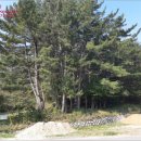 내서읍126 이미지