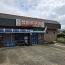 샛별쭈꾸미 이미지